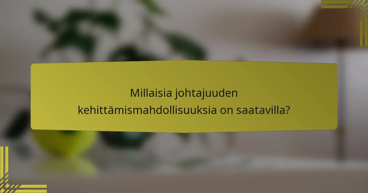 Millaisia johtajuuden kehittämismahdollisuuksia on saatavilla?